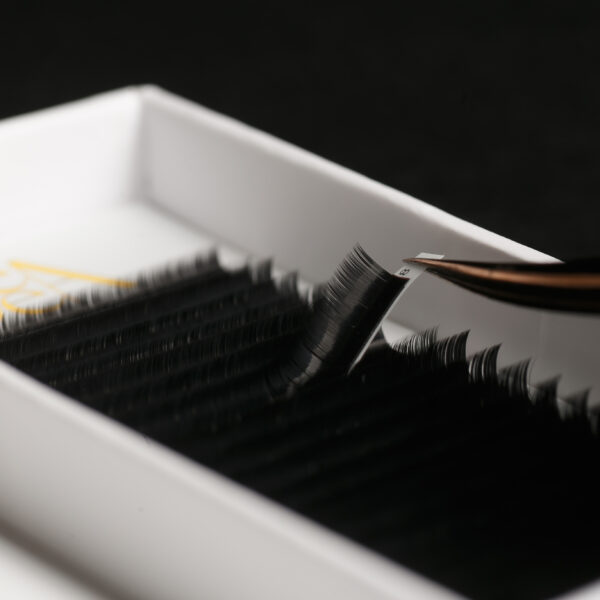 extension ciglia black