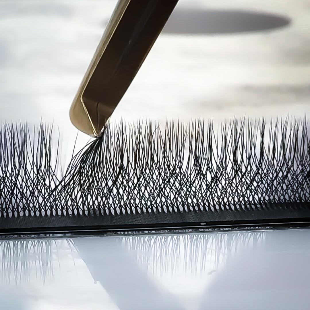 W lashes 5D