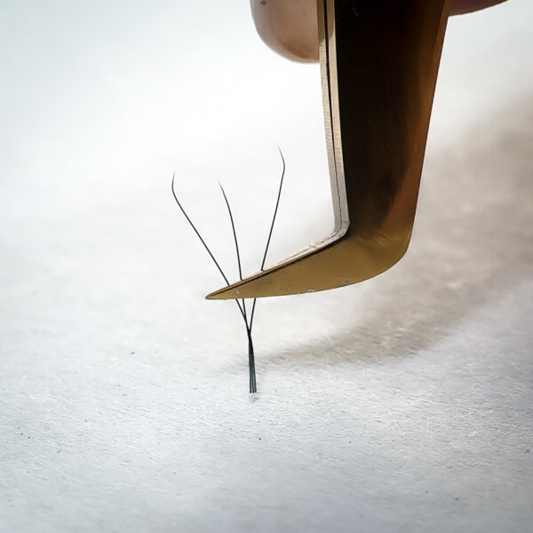 3D W Lashes - immagine 4